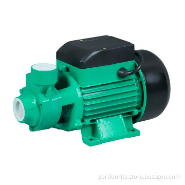 Qb60 Self-Priming Centrifugal Peripheral Water Pump